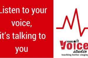 Listen to your voice, it’s talking to you