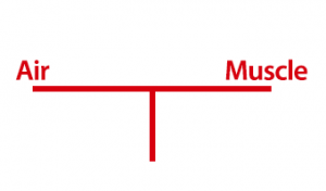 Vocal balance - the perfect amount of air and muscle
